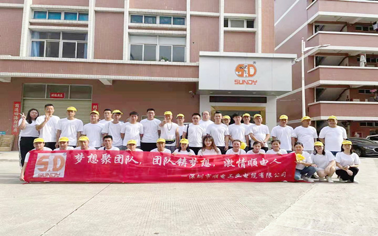 “夢(mèng)想聚團(tuán)隊(duì)，團(tuán)隊(duì)鑄夢(mèng)想”順電2021年旅游圓滿結(jié)束